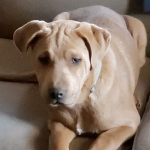 Meet your Posher, Miranda